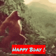 Birthday Bday Monkey GIF dance