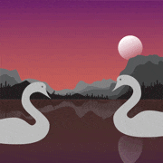 Swans GIF Happy Anniversary kiss