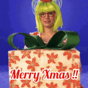 Elf Gift Happy Christmas GIF